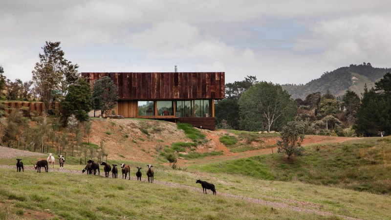 K Valley 之家，新西兰，Herbst Architects