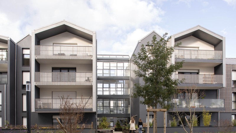 Le Safran 50套住房，法国，ALTA