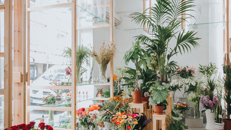 Orchids and Ladders  ，西班牙，SERRANO+BAQUERO Arquitectos