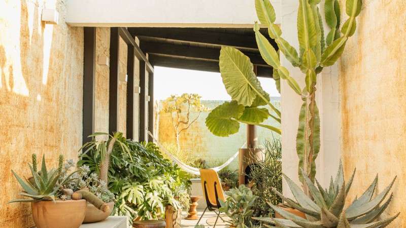 罗马露台 ，巴西， Marc Pascal ODA