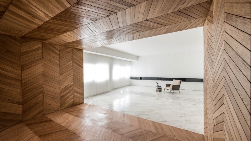 德黑兰公寓 ，伊朗， Rooydaad Architects