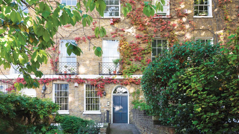 Butterfly 之家，伦敦，Biasol