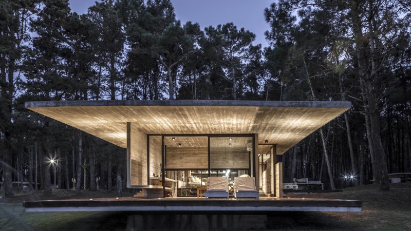 Forest之家，阿根廷，  Besonias Almeida Arquitectos