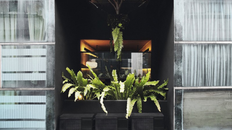 ARA Studio 办公室，印度尼西亚，ARA Studio