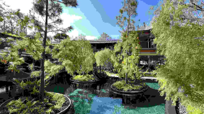 水上庭院住宅 ，新加坡， Guz Architects