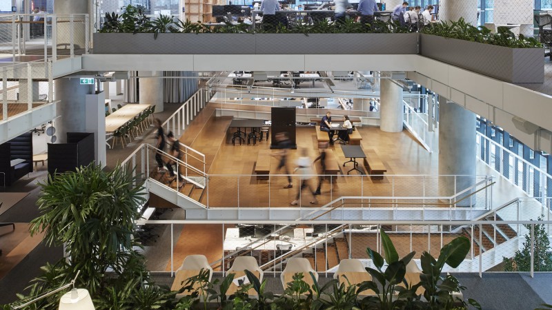 Arup Melbourne 办公室，澳大利亚， Hassell