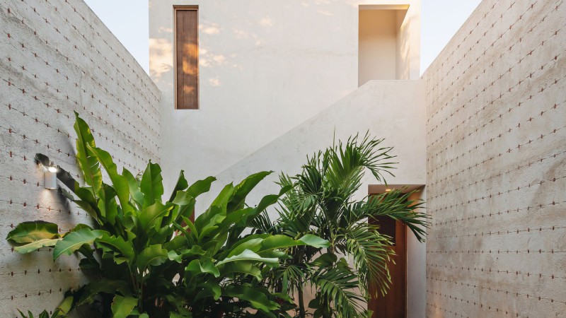 Cocol 之家，墨西哥， Workshop, Diseño y Construcción + Taller Estilo Arquitectura