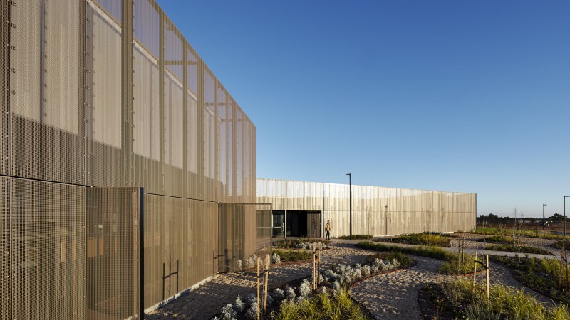 AGT 南方作物育种中心 ，澳大利亚， Ashley Halliday