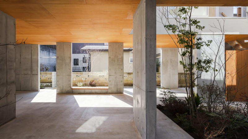 Acquired Stilt 之家，日本，DOG