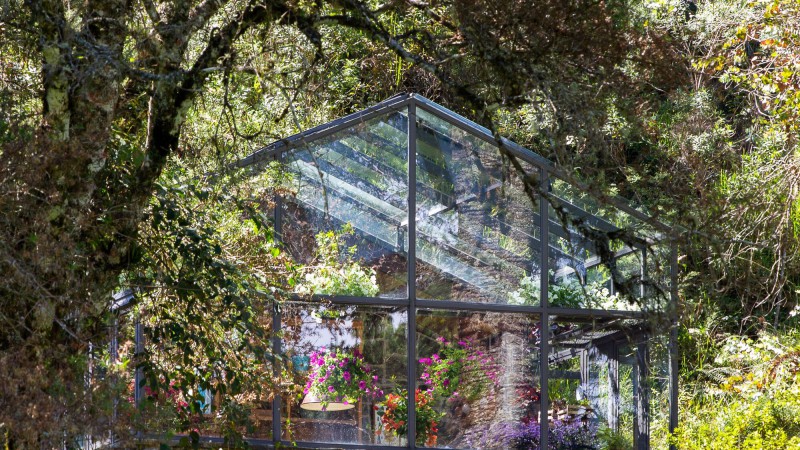 Araucaria 温室，巴西，Angá Arquitetura