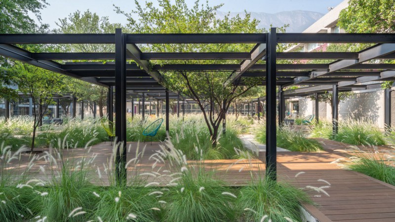 La Playita 花园 ，墨西哥，Joshua Ascencio