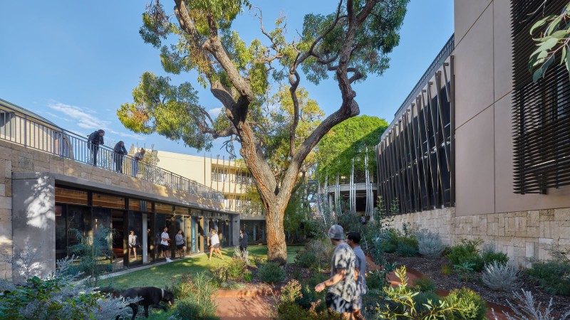 St. Catherine’s College Indigenous 学生宿舍，澳大利亚， Wilson Architects