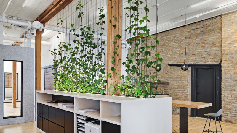 Sukhman Yagoda Law 办公室，芝加哥，Vladimir Radutny Architects