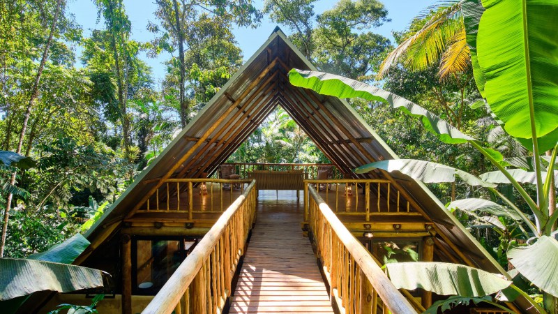 Trikona 之家，巴西，Atelier Marko Brajovic