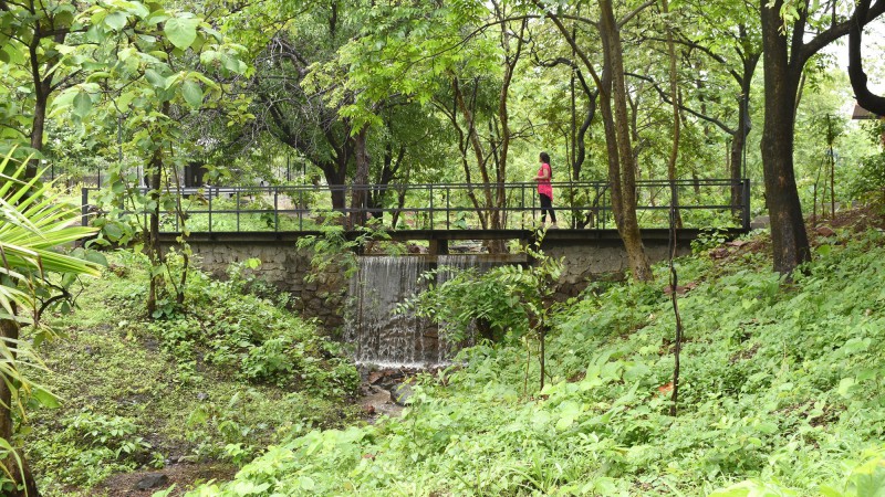 桥坝，印度，architecture INNATE