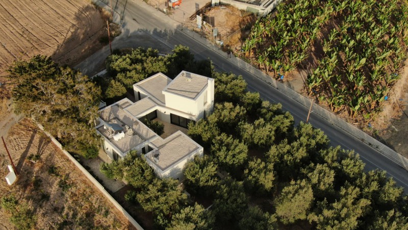 橄榄树林中的房子 ，塞浦路斯， vardastudio