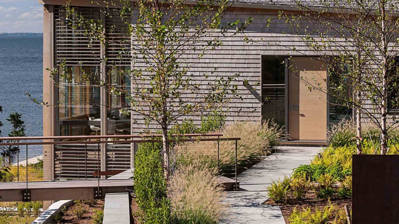 Cove 之家，美国， LSS