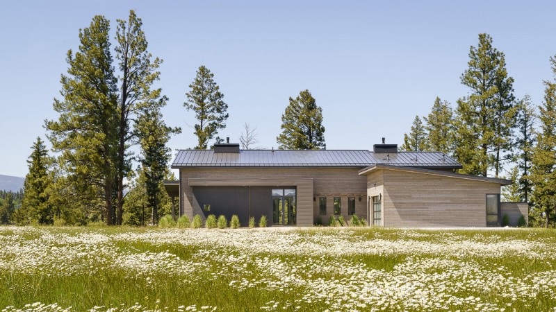 Fat Deer 小屋，美国， Cushing Terrell