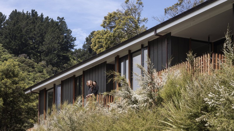 Feather之家，新西兰， Irving Smith Architects