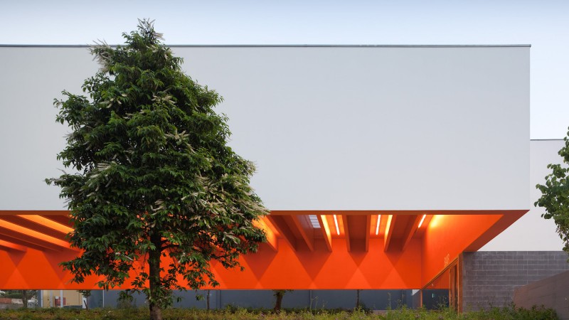 Garcia da Orta 中学，葡萄牙，Ricardo Bak Gordon