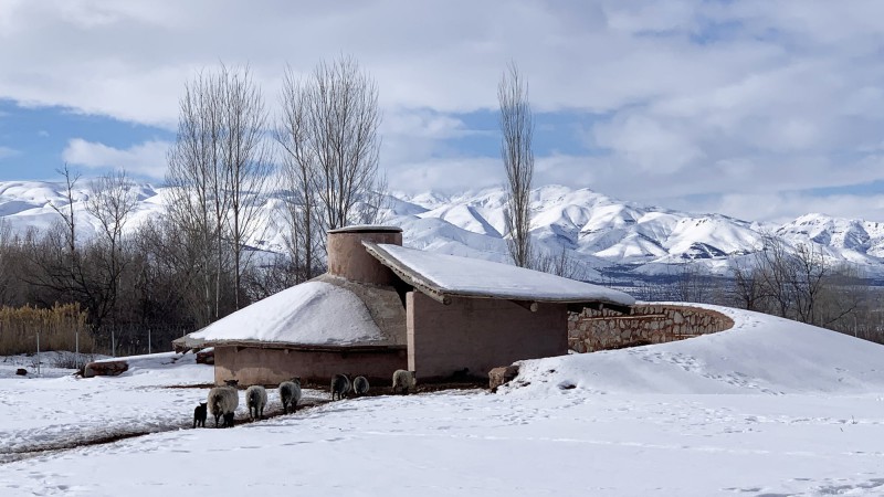 帕兰加山羊庇护所 ，土耳其， Erginoğlu & Çalışlar Architects