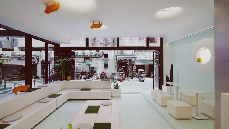 Alien Tanuki’s Space Capsule 咖啡店，香港，Absence from Island