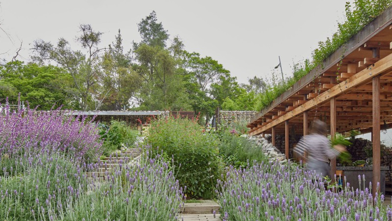 El Terreno 公共花园 ，墨西哥，Vertebral