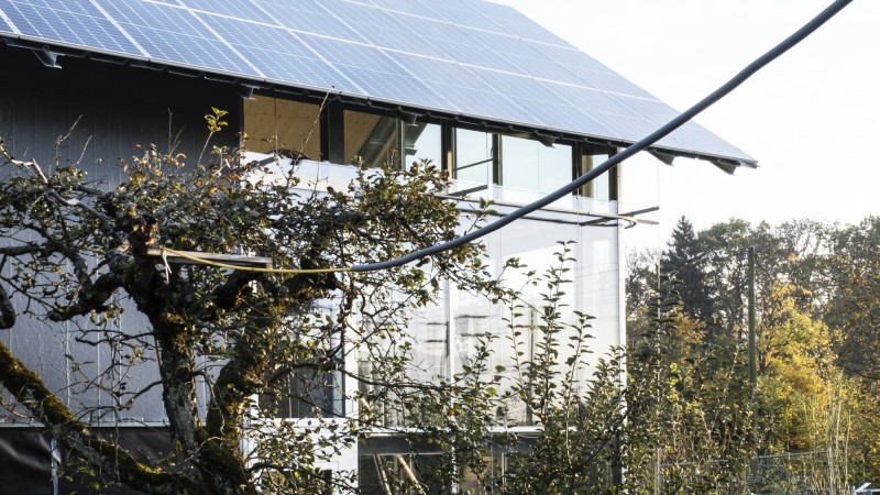 Filter 之家，瑞士， Comte/Meuwly