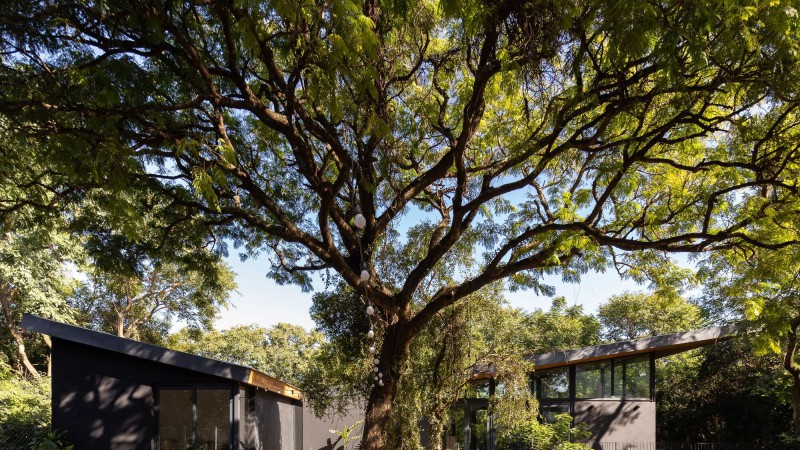 La Arbolada 之家，阿根廷， Indiana Sarubi Arquitecta