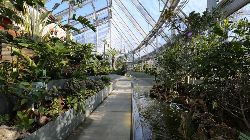 韦尔斯利学院全球植物群 ，美国， Kennedy & Violich Architecture