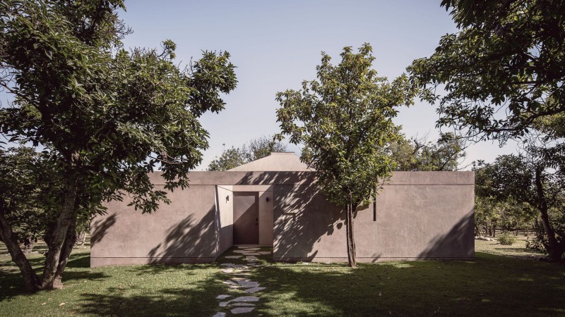 Avocado 之家，墨西哥，Práctica Arquitectura