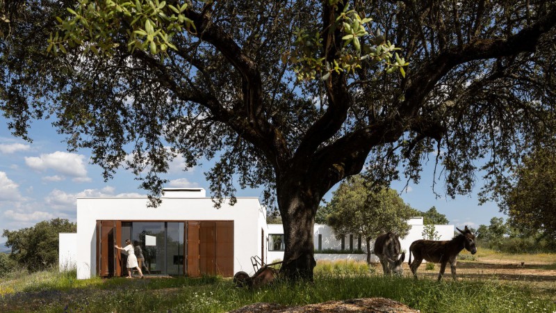 Crato 之家，葡萄牙， Inês Brandão Arquitectura