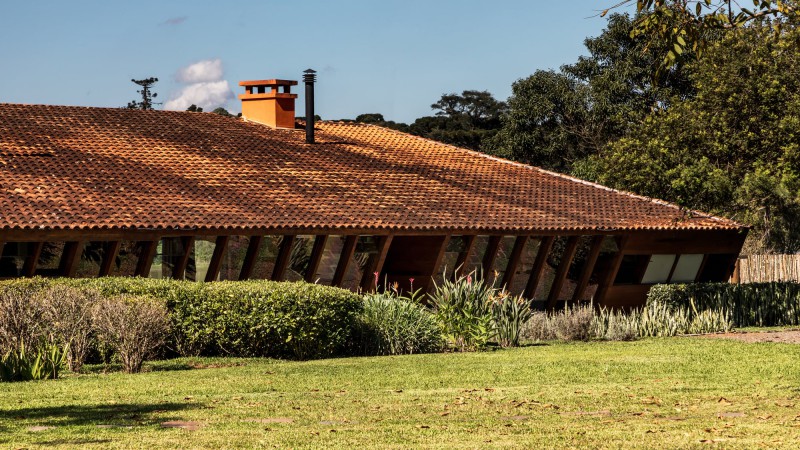 Pine 之家，巴西，Canalli Arquitetura