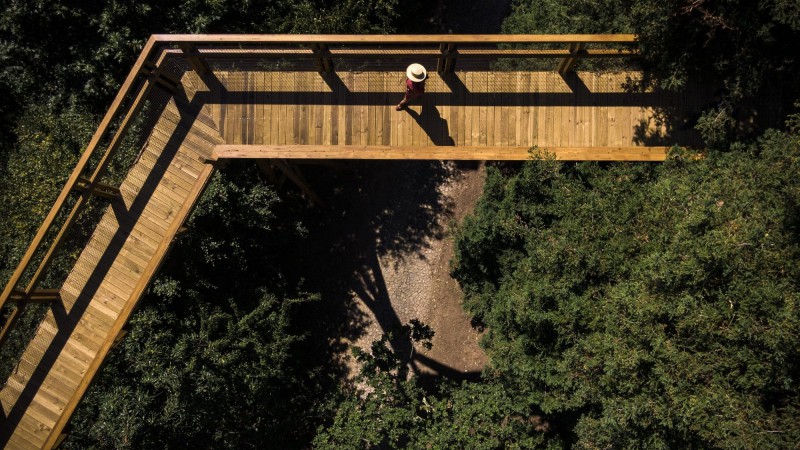 树顶漫步 ，葡萄牙， Carlos Castanheira