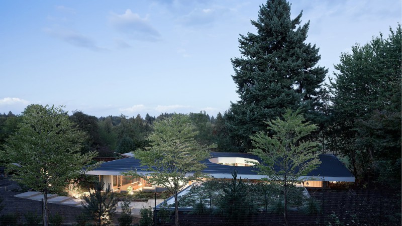 庭院住宅 ，美国，NO ARCHITECTURE