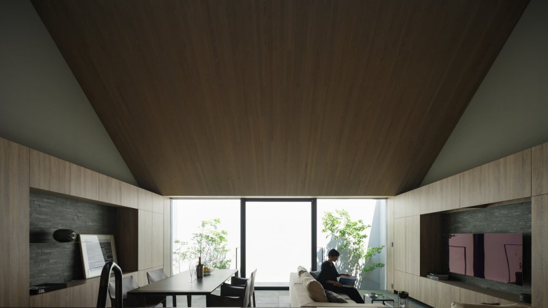 ESPACE 住宅 ，日本， APOLLO Architects & Associates