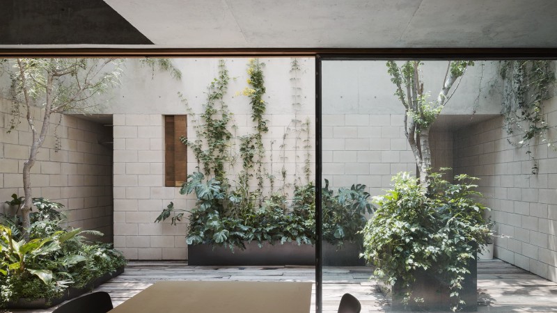 AS 大楼 ，墨西哥， Ambrosi I Etchegaray