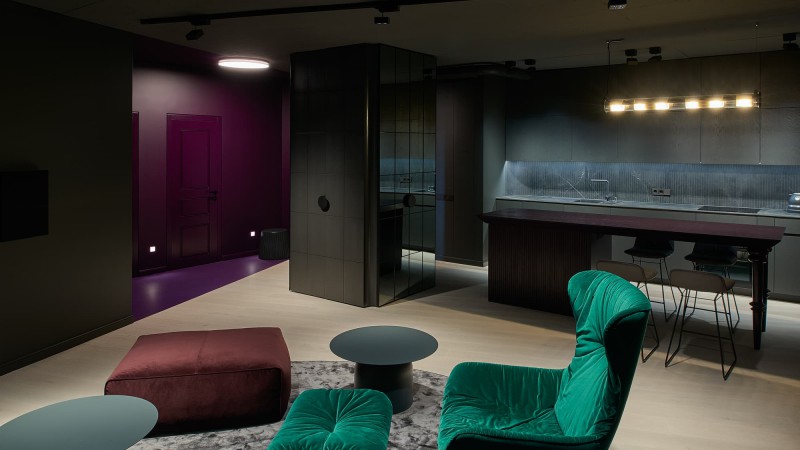 黑色公寓 ，立陶宛， HEIMA architects