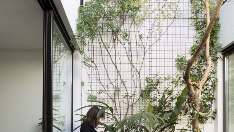 Giribone 之家，阿根廷，Sava Arquitectos