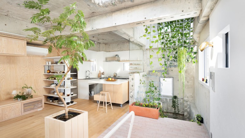 Myougadani 之家，日本， MAMM DESIGN