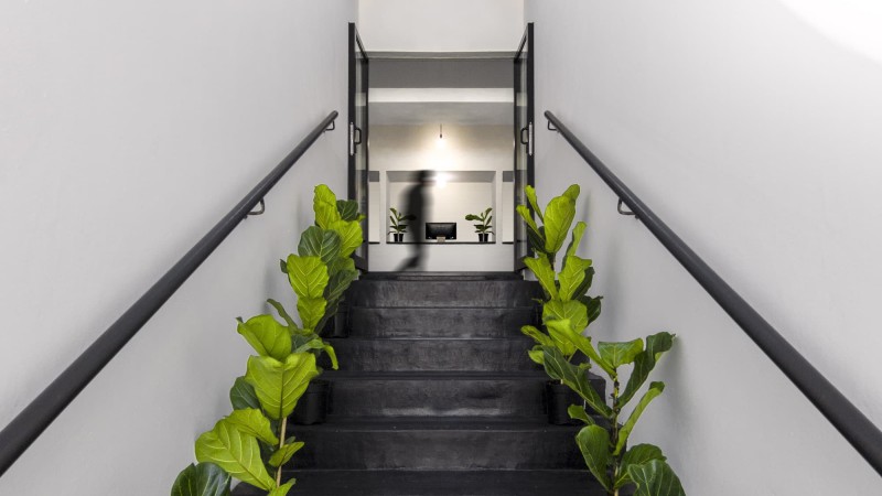 罗斯班克健康村之家，南非，Frankie Pappas