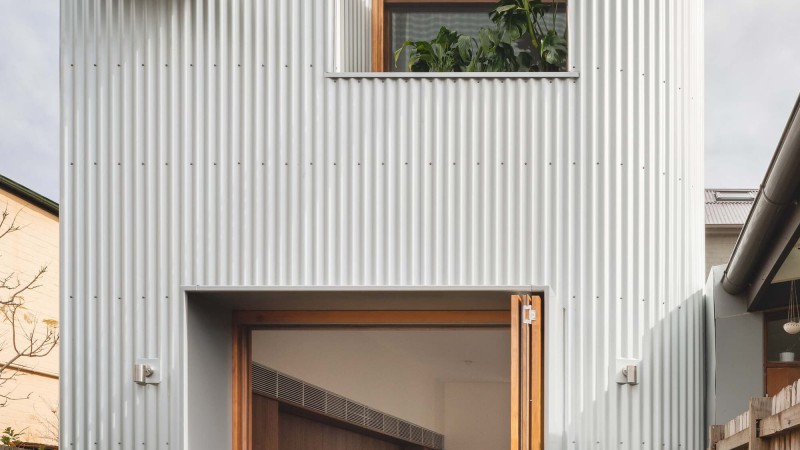 Silver Back 之家，澳大利亚， GSBN Studio