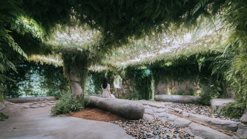 Sumsei Terarium ，韩国，NONE SPACE