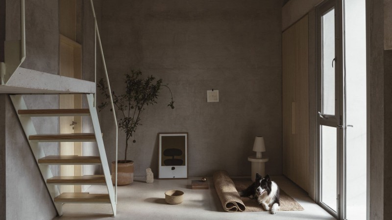 Edificio Domus Peepem 8.1 ，墨西哥， Kiltro Polaris Arquitectura + WEWI Studio + JC Arquitectura