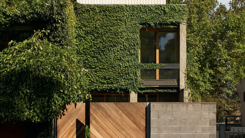 Haines 之家，澳大利亚， Foomann Architects