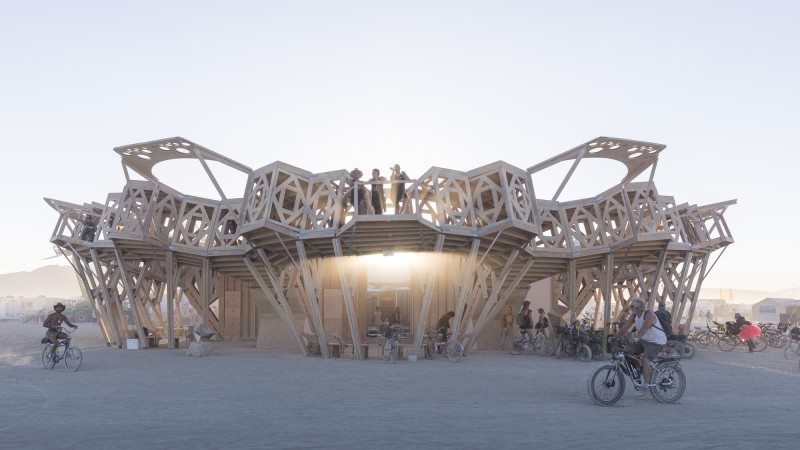 Catharsis ，美国，MAMOU-MANI