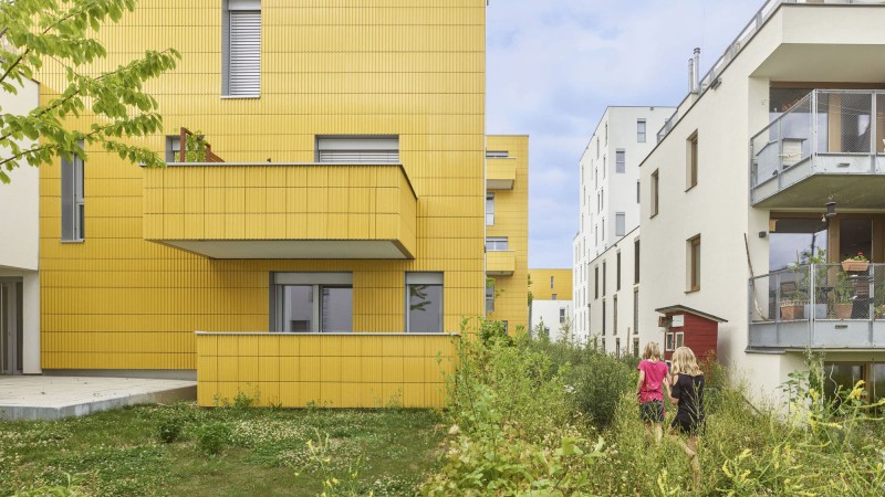 向日葵屋 ，维也纳， Arenas Basabe Palacios + Buschina & Partner