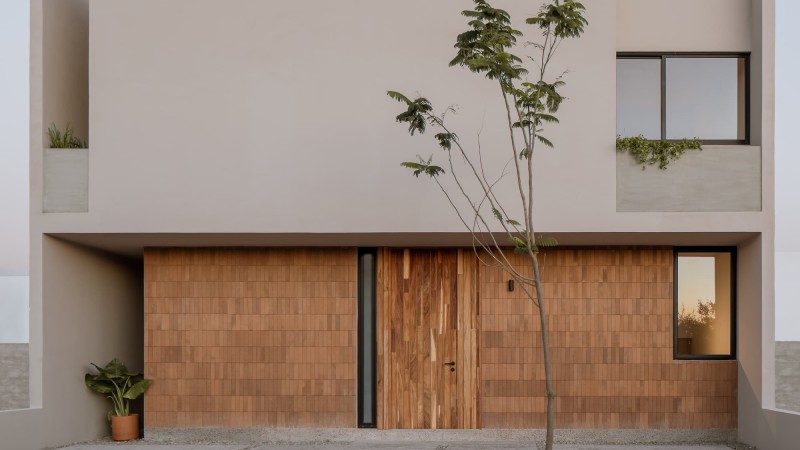 San Martín 之家，墨西哥， Toru Arquitectos