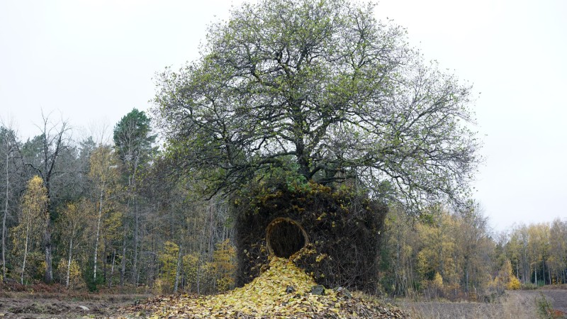 一棵树的四季装置 ，瑞典， Ulf Mejergren + Antti Laitinen