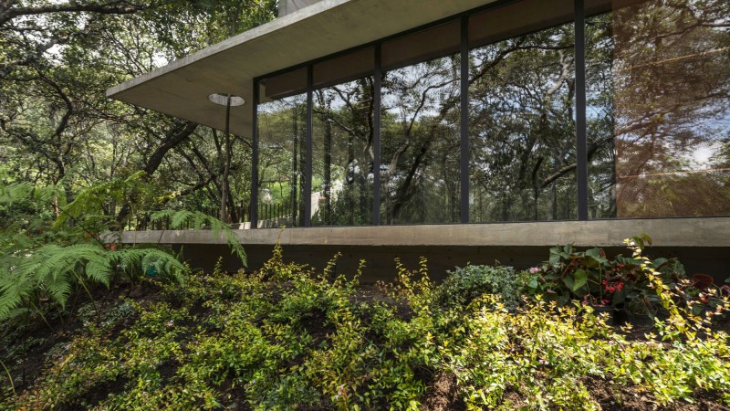 AYG 之家，墨西哥，Miguel de la Torre